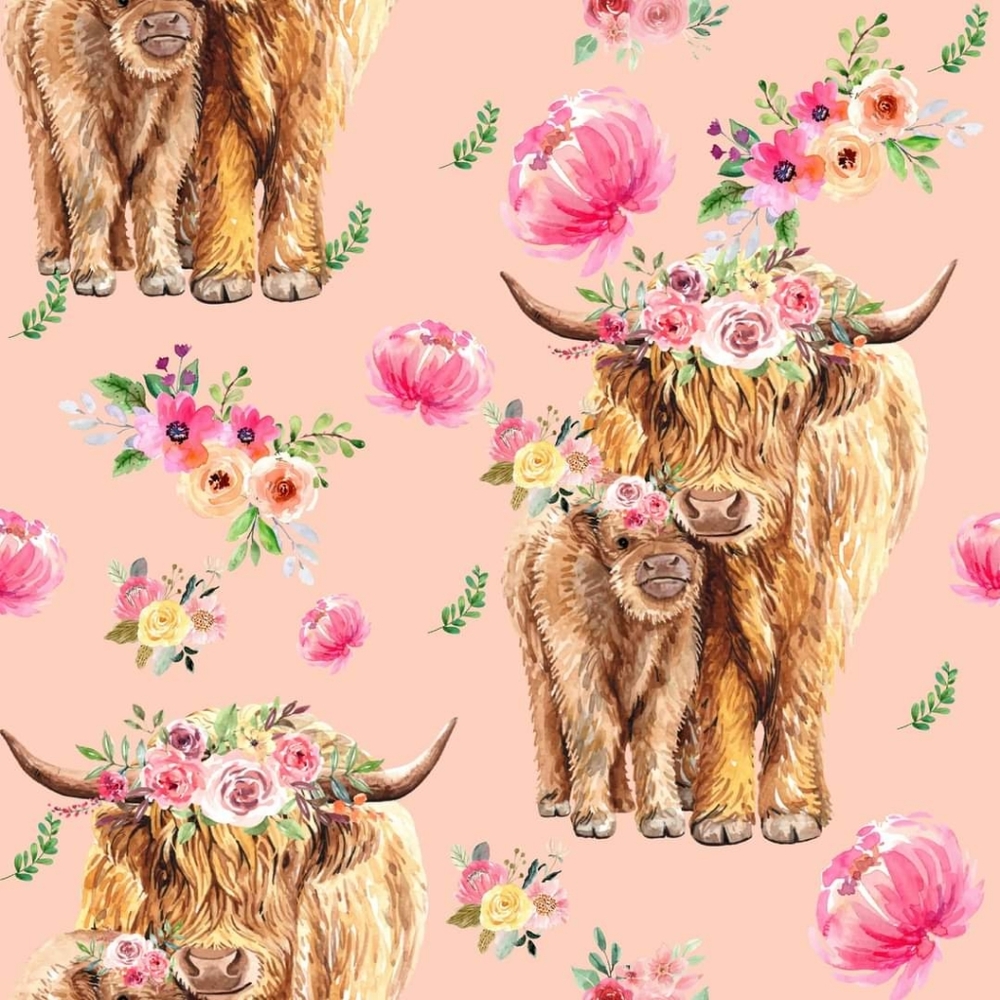 Cows & Roses - Picture 4 of 4